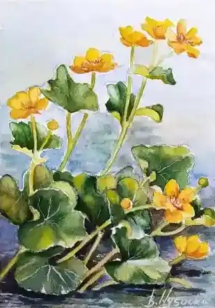 Zdjęcie artysty - Berta Wysocka